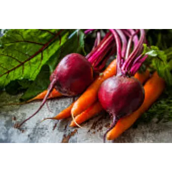 Organic  Beetroot